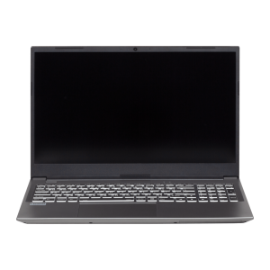 TongFang GM6IX8B 16 inch laptop